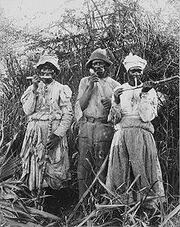 Cane cutters