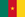 Flag of Cameroon
