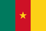 Flag of Cameroon