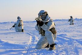 Арктические войска РФ