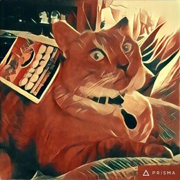 Prisma (app) image of a cat