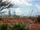 Le Royaume du Gabon (A nice new world...)
