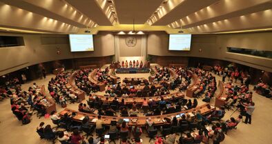 UN Meeting.jpg