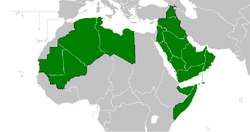 Arab Federation III