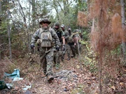 Militias in the woods