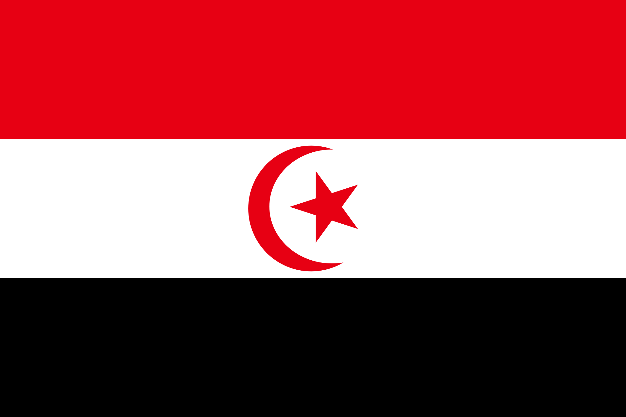 north african flag