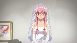 Family Plan Future Diary Wiki Fandom