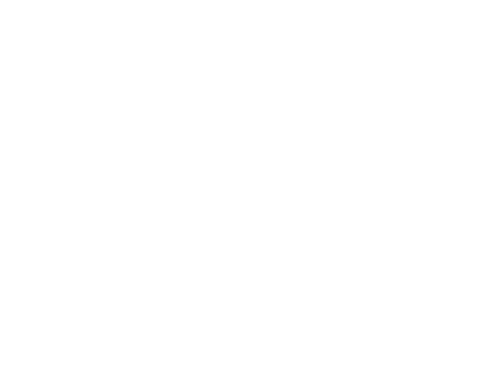 Дневник будущего вики