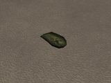 Celery