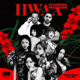 HWAA Dimitri Vegas & Like Mike Remix Cover