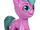Watermelon Shimmer