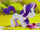 Rarity