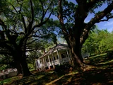 Magnolia Plantation (episode)
