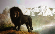 Black lion by paulie svk-d7m6ocr.png