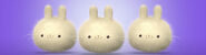 Dust Bunnies