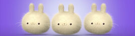 The Dust Bunnies