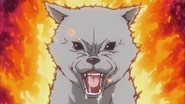 A stray dog challenges Satanichia for her bread