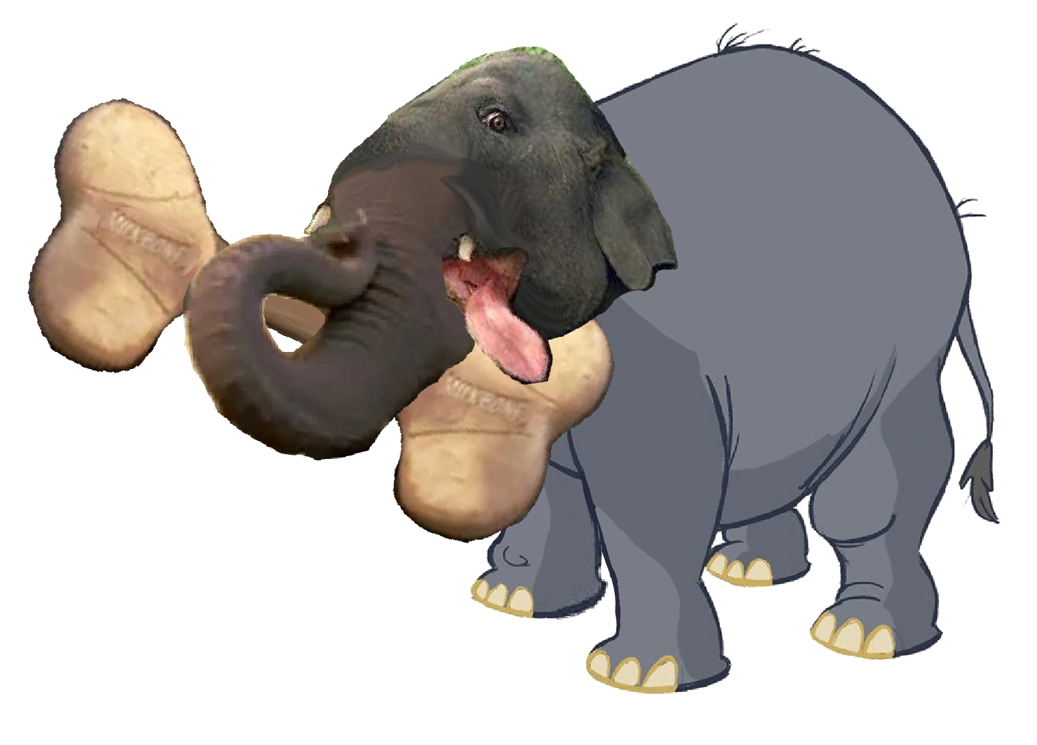 FEBRUARY 14 - 16, image size:1511x1086