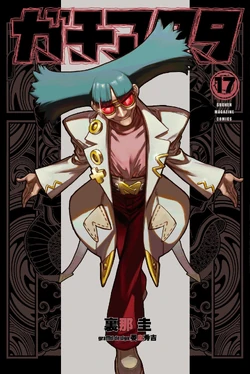 Volume 17