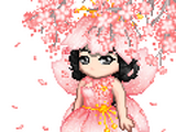 Cherry Blossom