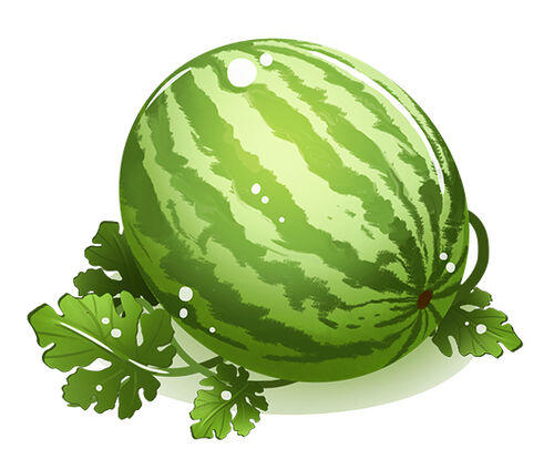 201607 watermelon main 530.jpg