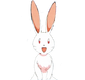 BunnyGA