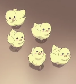 Chicks