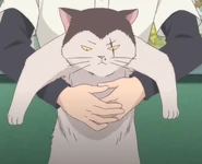Cat and Hayato.png (504 KB) Hayato catches the Cat (Episode 10)