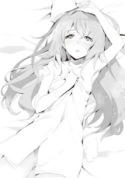 The Asterisk War, Vol. 14 (light novel) on Apple Books