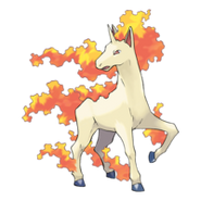 Rapidash