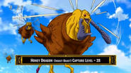 Honey Dragon