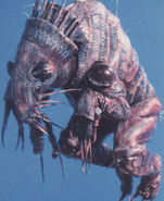 Flea Mutant