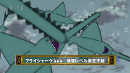 Fly Shark