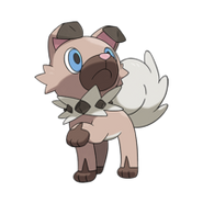 Rockruff