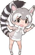 Ringtail