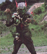 Hedogross Jr.