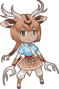 Axis Deer