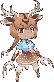 Axis Deer