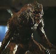 Idorobia