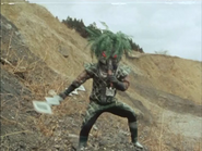 Fern Monger