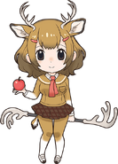 Mule Deer