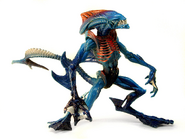 Aqua Xenomorph