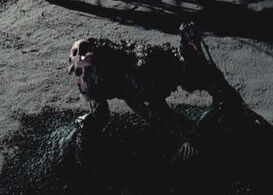 Bone Snatcher