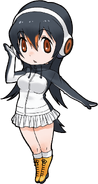 Gentoo Penguin