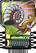 Nammonite