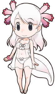 Axolotl (Kemono Friend)