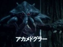 Akame Doggler