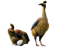 Gargwa