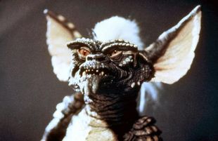 Stripe | Galactic Creatures Wiki | Fandom