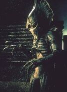 Alien